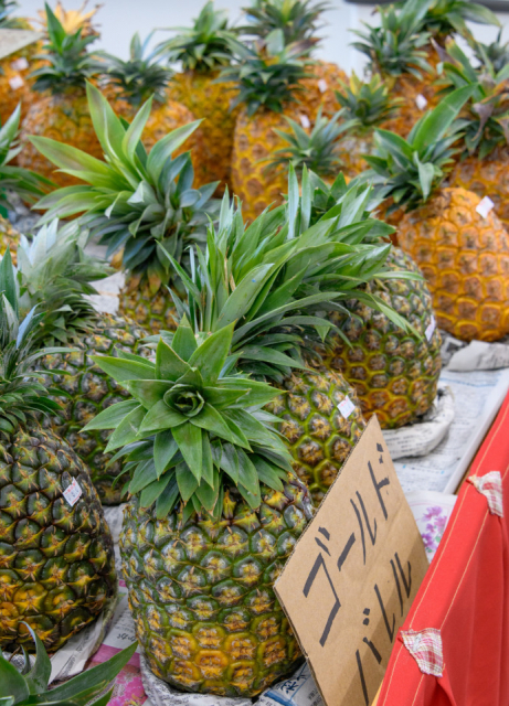 高江地区の拠点施設、東村高江特産品直売施設