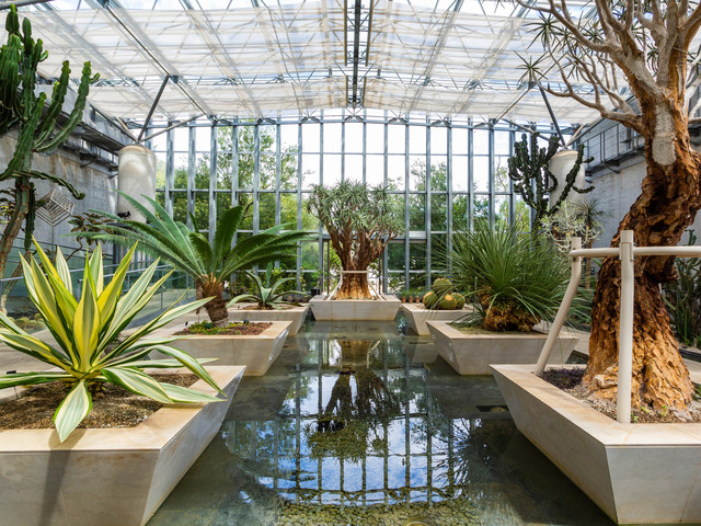 【淡路島の遊ぶところ 大人編 おすすめスポット1】兵庫県立淡路夢舞台公苑温室「あわじグリーン館」