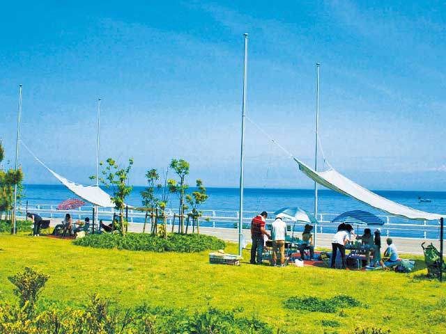 【淡路島の遊ぶところ 大人編 おすすめスポット2】淡路島国営明石海峡公園
