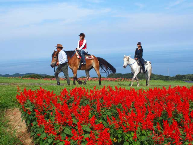 【大人編】淡路島の遊ぶところ 絶景や温泉、ショッピングにグルメまでおすすめスポット12選