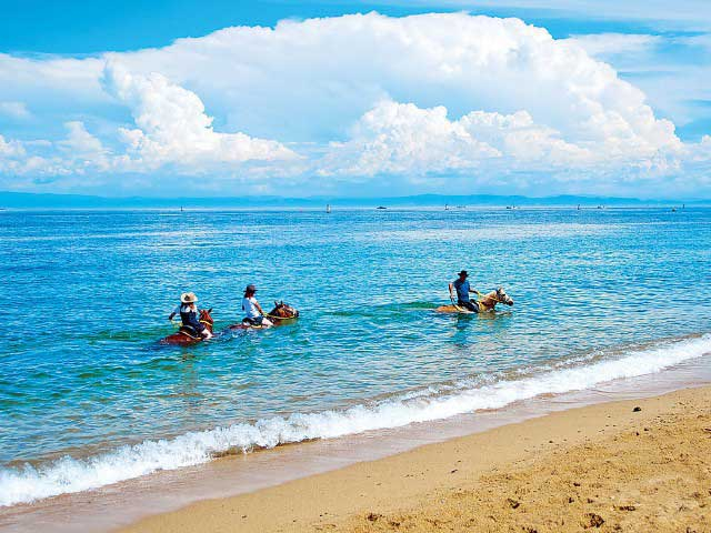 【淡路島の遊ぶところ 大人編 おすすめスポット8】乗馬クラブ ハーモニーファーム淡路