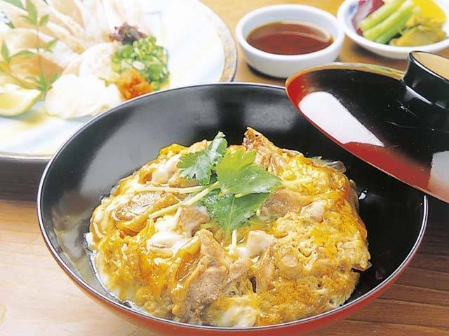 【高知で夜ご飯】高知の夜を楽しめるお店9選!高知で夜ご飯を食べるならどこがいい?