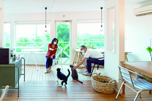 ペンションアトカでのねこ達のおもてなしの様子をご紹介