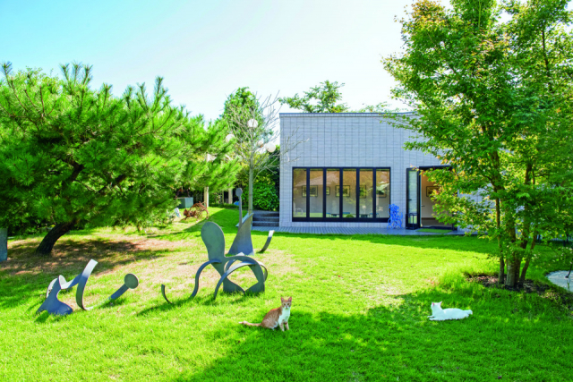 松山庭園美術館のねこたち