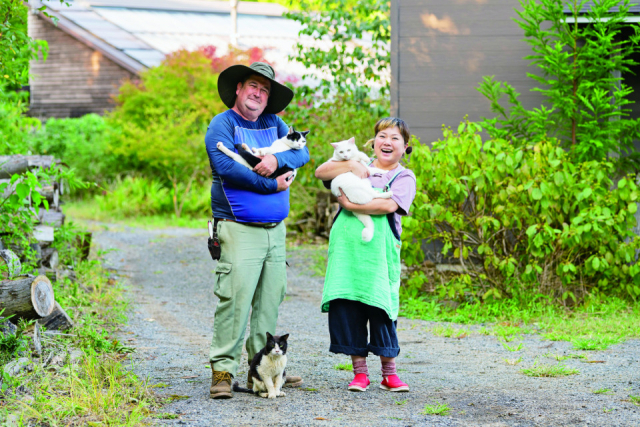 ザ・プラウマン カフェのねこ達の様子をご紹介