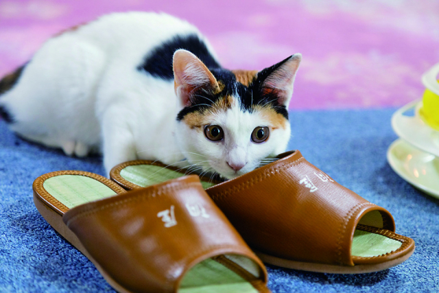 【ロビーで くつろぐ・ 遊ぶ】