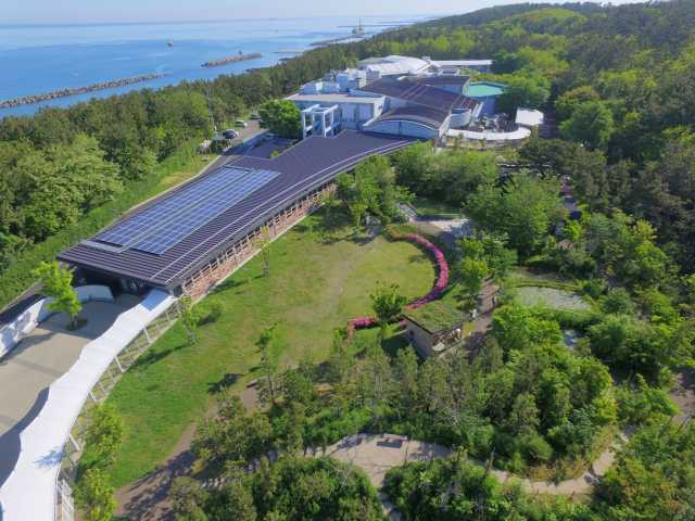 【新潟の遊ぶところ 大人編 おすすめスポット6】新潟市水族館 マリンピア日本海 (古町・本町)