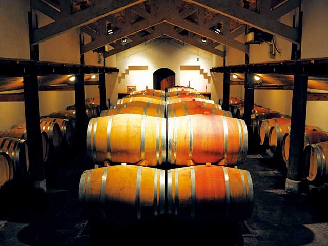 【新潟の遊ぶところ 大人編 おすすめスポット7】カーブドッチワイナリー (弥彦・岩室温泉 )