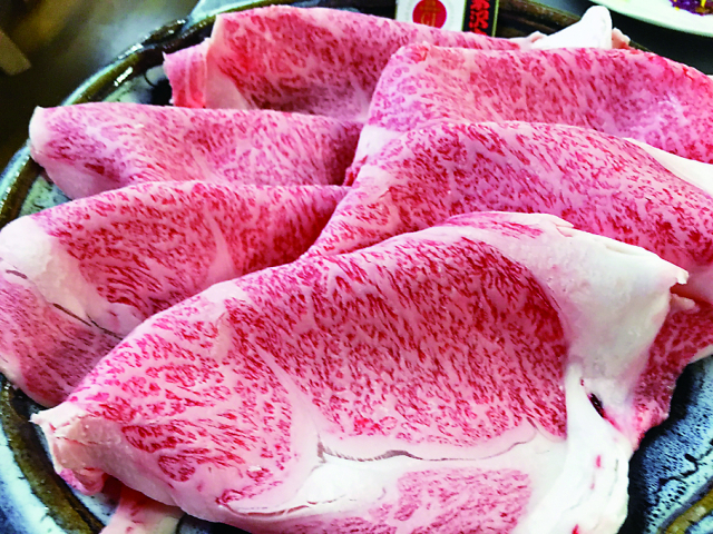 【山形・小野川温泉】亀屋万年閣でお待ちしてニャす