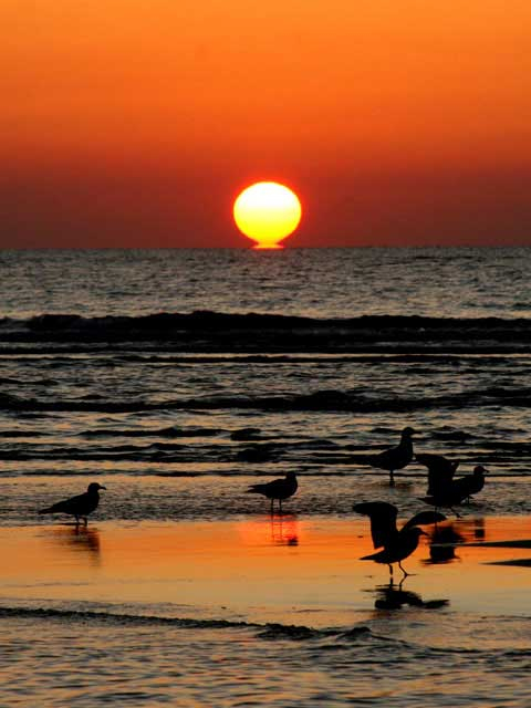 【石川の遊ぶところ 大人編 おすすめスポット5】千里浜なぎさドライブウェイ (羽咋・千里浜)