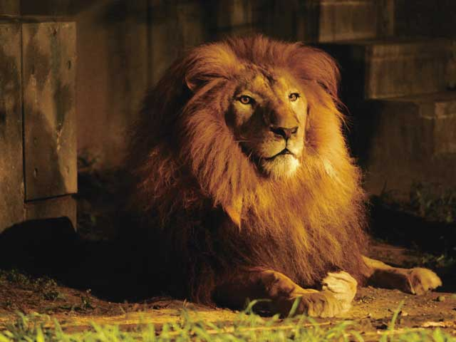 【石川の遊ぶところ 大人編 おすすめスポット10】いしかわ動物園 (小松)