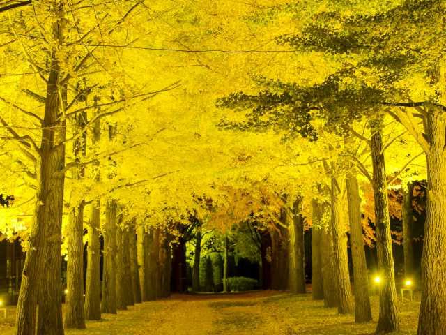 【水戸の遊ぶところ 大人編 おすすめスポット8】茨城県立歴史館 (水戸市街・偕楽園)