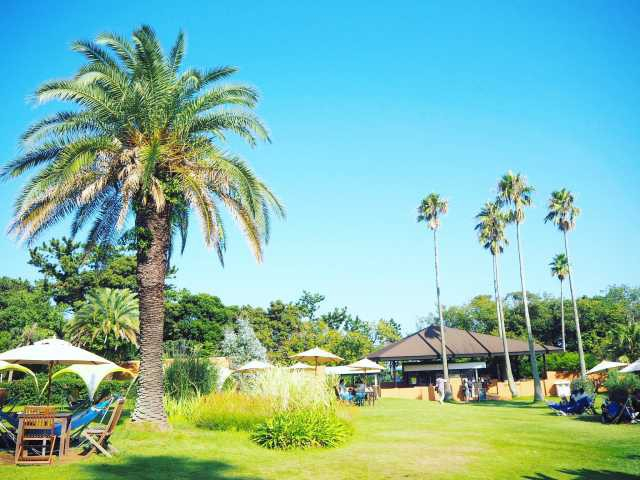 【大人編】熱海の遊ぶところ とっておきのおすすめスポット10選!