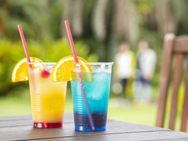 【熱海の遊ぶところ 大人編 おすすめスポット7】アジアンガーデンR-Asia(PICA初島) (初島)