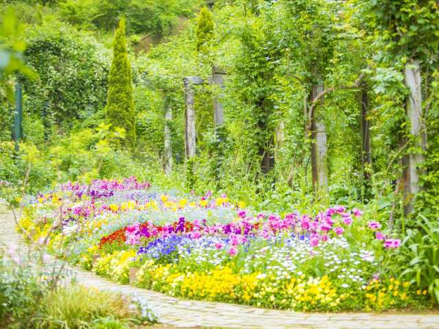 【熱海の遊ぶところ 大人編 おすすめスポット3】ACAO FOREST (熱海)