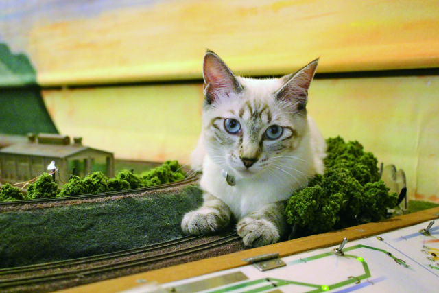 【まだまだ、たくさんいるよ!】