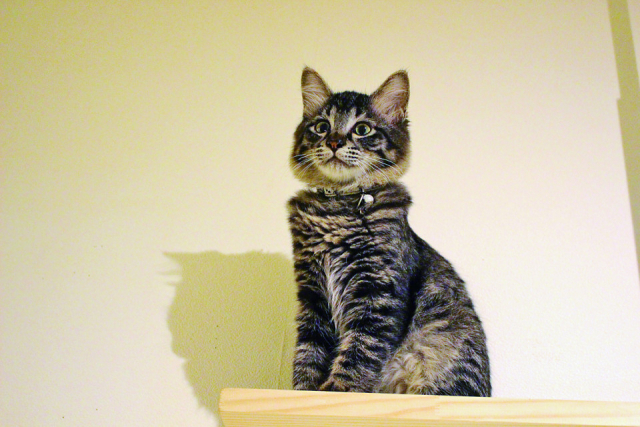 【まだまだ、たくさんいるよ!】