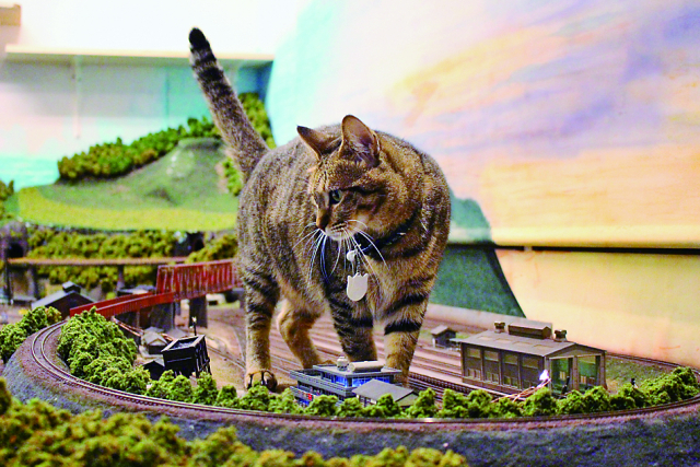 【column】ジオラマ食堂を救ったサラ一家との出会い