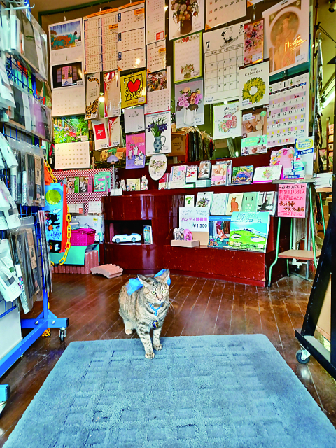 【ねこに会えるお店】盛岡共同文具(岩手)