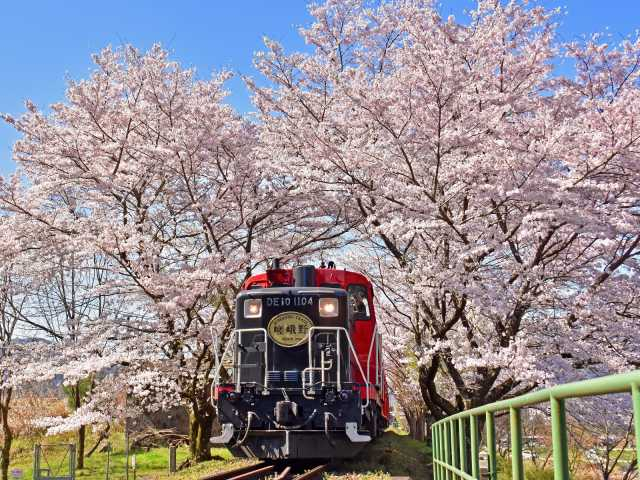 【大人編】京都の遊ぶところ とっておきのおすすめスポット13選!