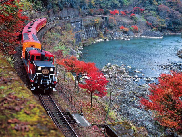 【京都の遊ぶところ|大人編3】嵯峨野トロッコ列車(嵐山・嵯峨野 )