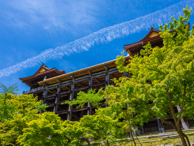 【京都の遊ぶところ|大人編5】清水寺(清水寺・三十三間堂 )