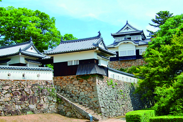 【ねこに会えるお店】備中松山城(岡山)