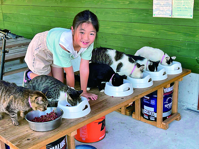 【ねこに会えるお店】ライダーズカフェ55マイル (鹿児島)