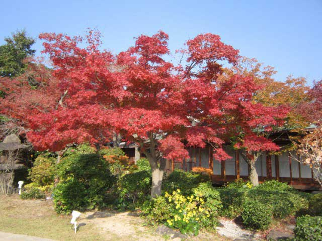 【神戸の遊ぶところ|大人編1】神戸市立須磨離宮公園(須磨・垂水・舞子 )