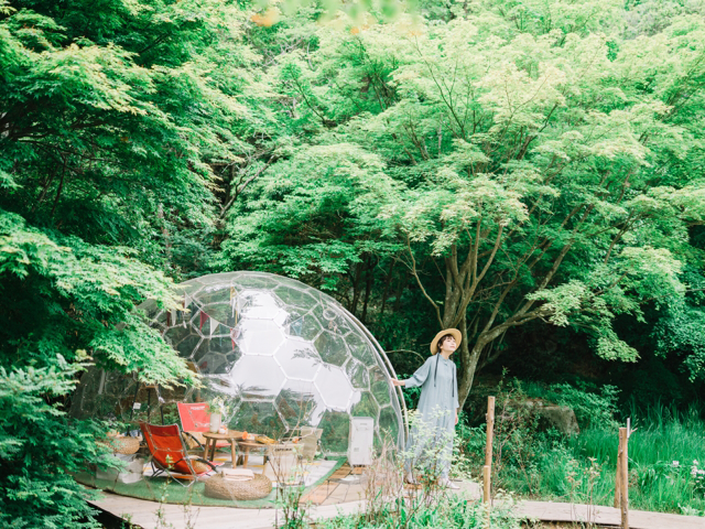 【大人編】神戸の遊ぶところ 定番から穴場までおすすめスポットをご紹介