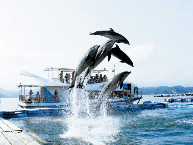 【和歌山の遊ぶところ 大人編 おすすめスポット8】紀の松島めぐり (南紀勝浦温泉)