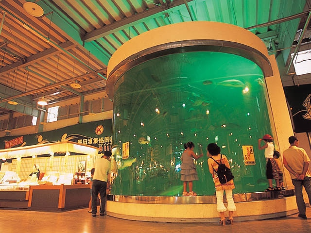 【白浜の遊ぶところ 大人編 おすすめスポット6】とれとれ市場 (白浜温泉 )