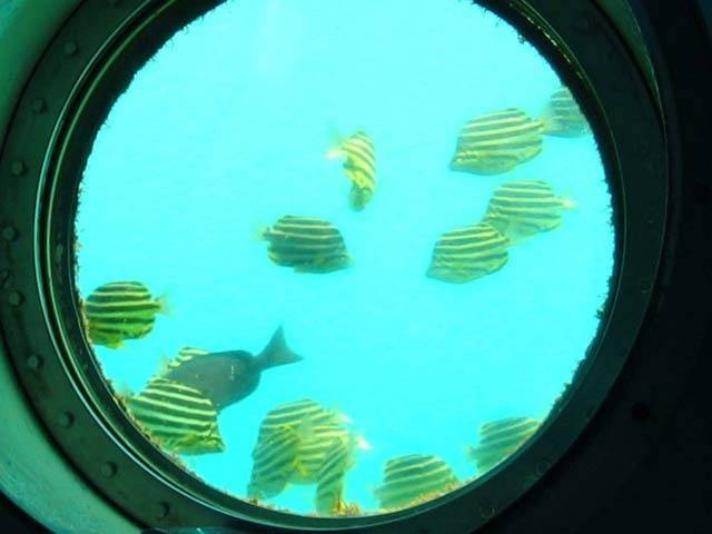 【和歌山の遊ぶところ 大人編 おすすめスポット9】白浜海中展望塔 (白浜温泉)