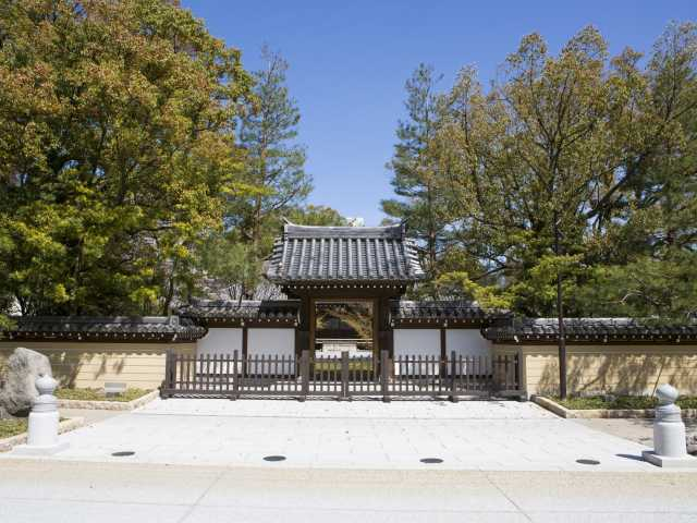 【博多の遊ぶところ 大人編 おすすめスポット6】承天寺(博多駅)