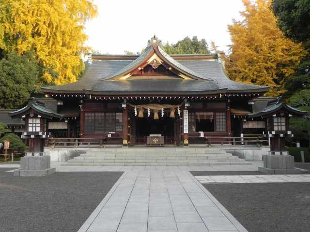 【熊本の遊ぶところ 大人編 おすすめスポット3】水前寺成趣園 (熊本)