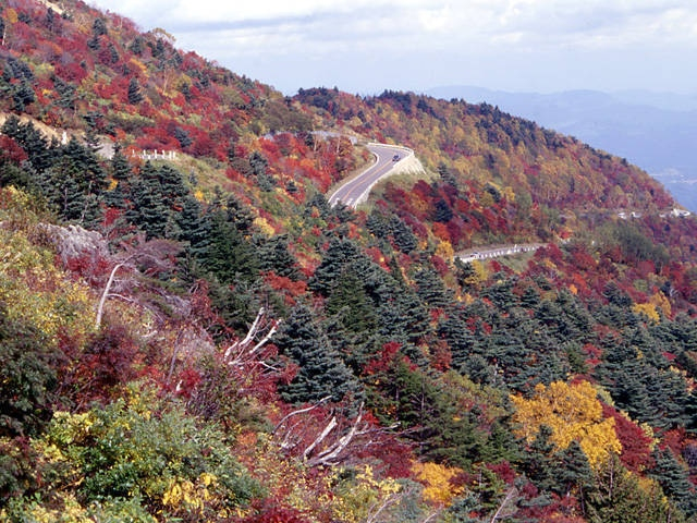 【福島市の遊ぶところ 大人編 おすすめスポット1】磐梯吾妻スカイライン (土湯温泉・高湯温泉)