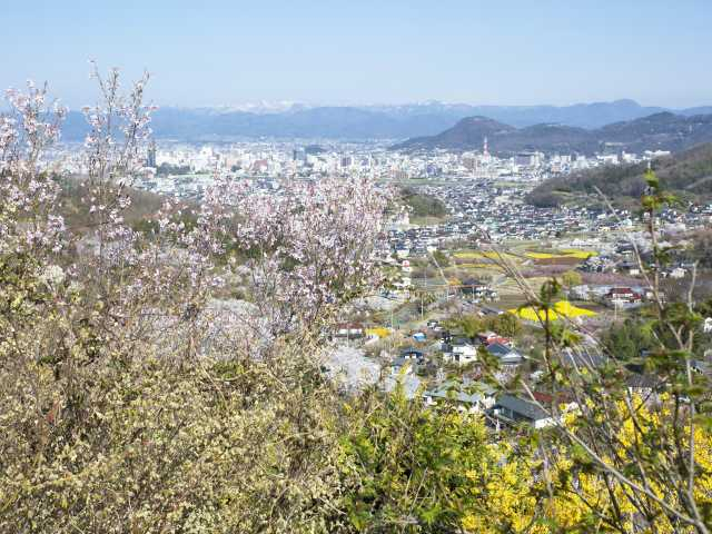 【福島市の遊ぶところ 大人編 おすすめスポット2】花見山 (福島市街 )