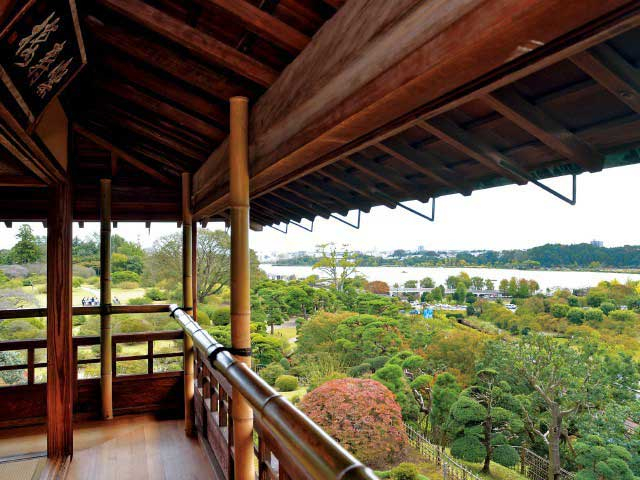 【水戸の遊ぶところ 大人編 おすすめスポット5】偕楽園 (水戸市街・偕楽園)