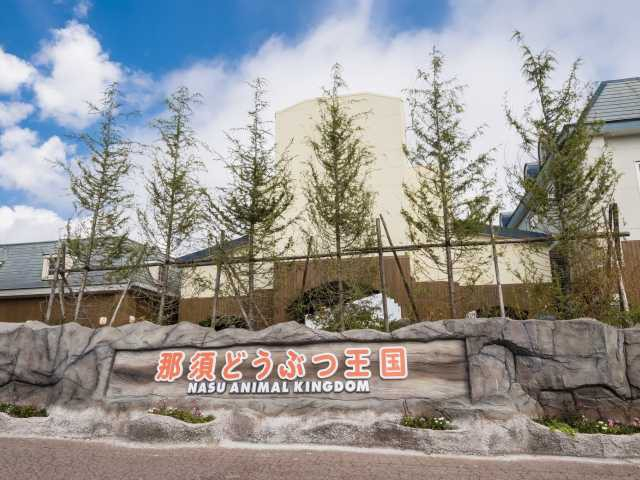 【那須の遊ぶところ 大人編2】那須どうぶつ王国(那須高原)