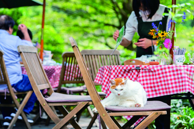 ドリプレ・ローズガーデンってどんなところ?