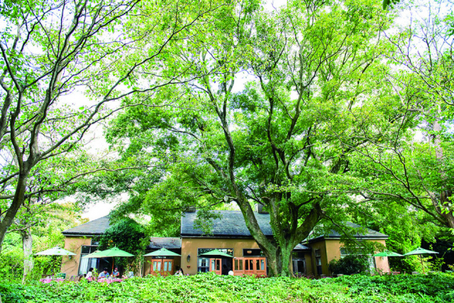 ドリプレ・ローズガーデンってどんなところ?