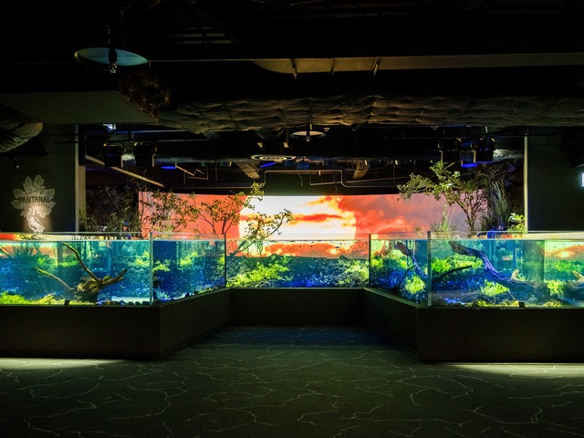 【大人編】川崎駅の遊ぶところ とっておきのおすすめスポット10選!