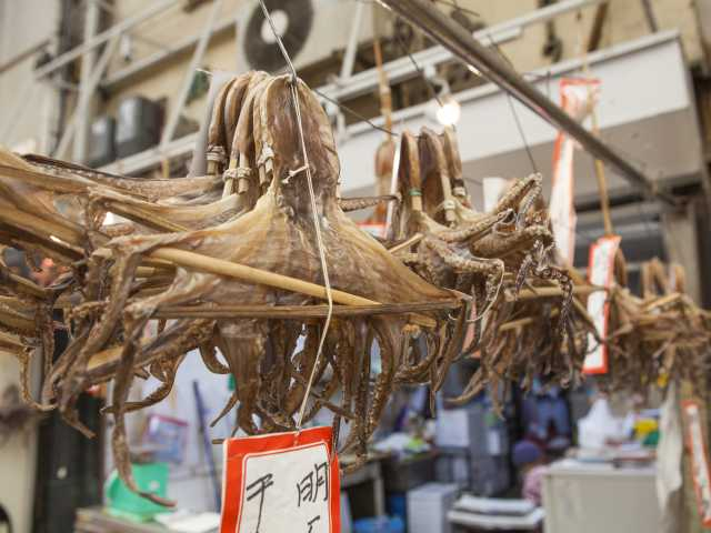 【明石の遊ぶところ|大人編1】魚の棚商店街