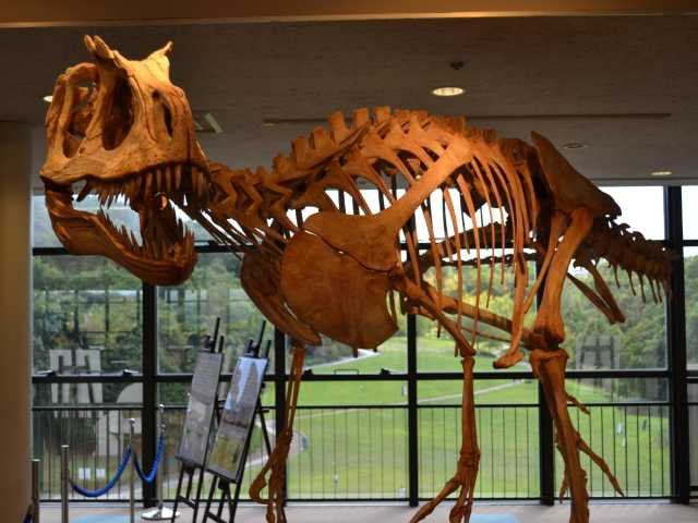 【三田の遊ぶところ 大人編 おすすめスポット4】兵庫県立人と自然の博物館 (三田・神戸北)