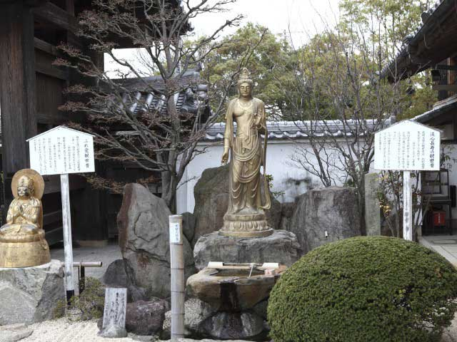 【明石の遊ぶところ|大人編6】月照寺