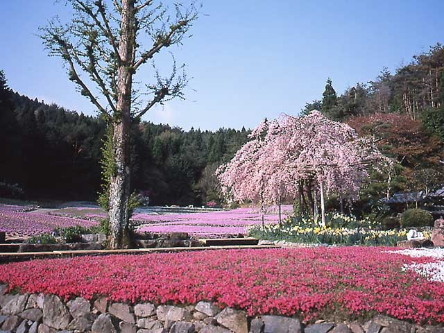 【大人編】兵庫県三田の遊ぶところ とっておきスポット8選!