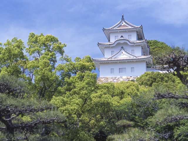 【明石の遊ぶところ|大人編9】明石城跡