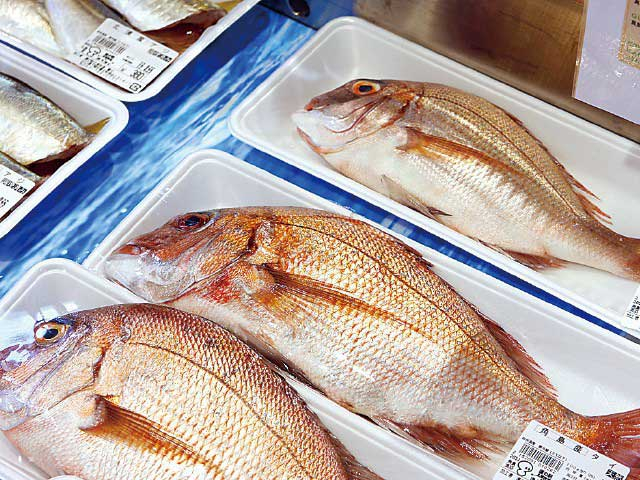 【下関の遊ぶところ 大人編 おすすめスポット4】道の駅 北浦街道 豊北 (川棚温泉・角島 )