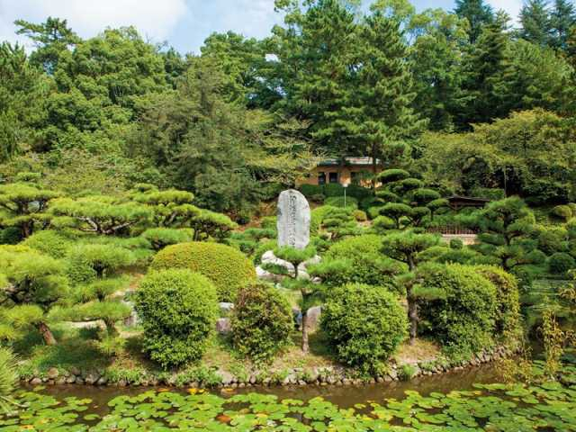 【松山の遊ぶところ|大人編3】道後公園(湯築城跡) (道後温泉)