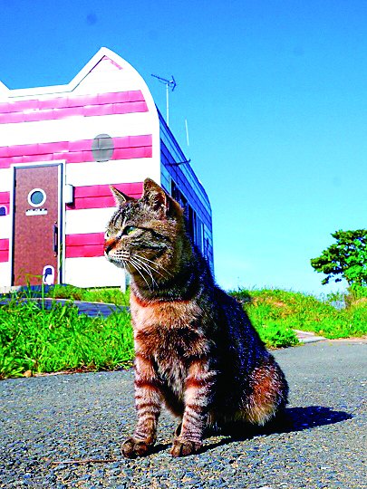 田代島のおすすめスポット2 マンガアイランド